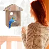 Gaiolas de pássaros Blue Birds House Janela de madeira Ninho à prova de intempéries projetado com poleiro traseiro transparente para fácil observação 230721