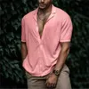 Chemises décontractées pour hommes L-3XL T-shirt haut régulier pour hommes col en V plage chemises boutonnées cardigan ample boutonné hauts pour hommes L230721