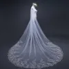 3 4 metri White Cathedral Veils Fareds Veils Long Lace Edge Bridal Veil con accessori per matrimoni di pettine Bride Veu Wedding Veil X0256B