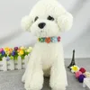 Collari per cani Fiori Collare per animali domestici Cinghia per collo a catena per gatti in pelle PU per piccoli animali regolabili Teddy Chihuahua Carlino