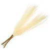 Decorative Flowers Flower Arrangement Faux Pampas Grass Reed For Bouquet Decor Home Decors Reeds Arrangements DIY