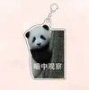 Huahua милый панда акриловый ключ кольцо кольцо животных наушники школа клавиша ключи для сети подвесные аксессуары корейский управление ключами INS