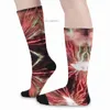 Socks Hosiery Spectacular red and green fireworks abstract black sky socks men's golf shoes Z230721