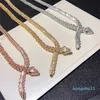python Necklace Jewelry For Women Snake Pendants Thick Necklace Necklace Fine Custom luxurious Jewelry Zircon