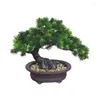 Simulation de fleurs décoratives Bienvenue Pin Bonsai Mobilier de bureau d'intérieur Faux plantes à fleurs Petit salon en pot Plante verte