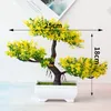 Flores decorativas, plantas artificiais, bonsai, com vaso, decoração de quarto, vaso, vaso, planta falsa, interior de casa, pinho, decoração de árvore pequena