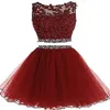 2019 I più nuovi abiti da ritorno a casa corti in tulle a due pezzi per le donne Juniors Plus Size Appliques Mini abito da cerimonia formale da ballo di laurea 268v