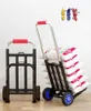 Albums Folding Lage Portable Cart Handling Pull Cargo Trailer with Wheels Home Grocery Shopping Trolley Light Small Shopping Trolley
