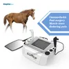 Tecar Therapy Diaterermia 448 kHz dla psa PET i maszyny fizjoterapii urazów koni