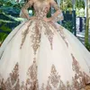 Süße 16 Rosa Prinzessin Quinceanera Kleider Lange Ärmel Tüll Formeller Festzug Ballkleid für Mädchen Vestidos De Anos Robe Ivoire245w