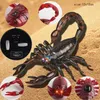 Electric RC Animals Horror Simulation Remote Control Electric Snake Halloween Prank Toys For Boy Kid Children Gags Mouse RC Spider Cackroach 230721