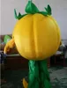 High quality Vegetable pumpkin cartoon dolls mascot costumes props costumes Halloween