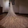 2019 Sparkly Bling Bling Bridal Veil Cathedral Train 3 meter Luxury Shiny Wedding Party Bridal Vit White Champagne336i