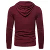 Мужские свитера 2023 мужской пуловой с капюшоном чистый цвет пружина и осенняя одежда