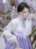 Ethnische Kleidung, Hanbok-Kleid für Damen, violett, bestickt, koreanischer Stil, traditionelle Pografie, Volkstanz-Aufführung