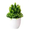 Decoratieve Bloemen Simulatie Plant Ingemaakte Groene Woondecoratie Kleine Ornamenten Dennennaald Ananas Desktop Bloem Bonsai