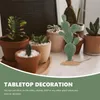 Dekoratif Çiçekler 3 PCS İç Mekan Yeşil Ofis Dekor Craft Cactus Decors Statusette Bahçe Küçük Heykeller Heykelcik PVC Mini