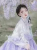 Etnik Giyim Hanbok Elbise Kadınlar Menekşe İşlemeli Kore tarzı Geleneksel Pografi Halk Dans Performansı