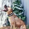 Collari per cani Collare riflettente Addestramento regolabile Cani tattici durevoli per cani di taglia media con manico Accessori per esterni