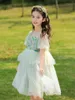 Fille Robes Chic Robe D'été Pour 3-12Y Perles Sangle O-cou Manches Bouffantes 3D Floral Tulle Robe De Bal Enfant Enfant Forêt Elfe Vestidos