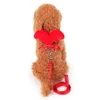 Cute Angel Pet Dog Leashes and Collars Set Puppy Leads para perros pequeños Gatos Designer Wing Arnés ajustable para perros Accesorios para mascotas 270j