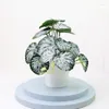 Fiori decorativi Piante artificiali Bonsai Decorazioni per la casa Piccolo vaso per alberi Vasi finti Ornamenti Decorazione per matrimoni Giardino