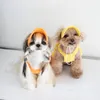 Abbigliamento per cani Ispessimento Abbigliamento sportivo Cinghie Gonna Vestiti per animali Gatto e abbigliamento Teddy Bear Cappotto Cappello Kawaii Designer