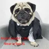 Formalne ubrania psa Wedding Pet Pies Pets Psy Ubranie dla psów Zwierzęta Zabezpieczenia XS-XL PET ODPOWIEDZIAL PUPPY OUNKUT PUG Bulldog2771