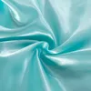 Bedding sets Bonenjoy 1 pc Bed Sheet for Summer Ice Cool Fabric Top Sheets Satin Smooth Flat Double no pillowcase 230721