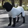 Vêtements pour chiens Pyjamas doux Vêtements décontractés Vêtements d'été Col rond Anti-UV Grands vêtements de protection solaire