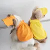 Ropa para perros Engrosamiento Ropa deportiva Correas Falda Ropa para mascotas Gato y ropa Oso de peluche Abrigo Sombrero Diseñador Kawaii