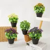 Flores decorativas Plantas Suculentas Verdes Artificiais Bonsai Falso com Vasos de Mesa Decoração de Casa Jardim Plantadores