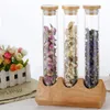 Tools Wooden Coffee Beans Flower Tea Display Rack Stand Cereals Canister Glass Test Tube with Cork Sealed Storage Decorative Ornaments