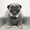 Formalne ubrania psa Wedding Pet Pies Pets Psy Ubranie dla psów Zwierzęta Zabezpieczenia XS-XL PET ODPOWIEDZIAL PUPPY OUNKUT PUG Bulldog2771