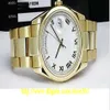 store361 nieuwe aankomst horloges Nieuwe 36 mm Platinum President MOP Diamond Dial - 118206342S