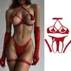 Fancy Sensual Tassel Fetish Lingerie See Through Open Bra Bilizna Set Hot Sexy Intimate Naked Crotchless Panties Exotic Sets 230717