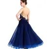 Robe de danse de salle de bal en dentelle sexy pour femme Robe de tango valse à manches longues Standard