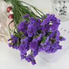 Decoratieve Bloemen Groothandel Hoge Kwaliteit Gedroogd Geconserveerd Vergeet Me Niet Voilet Myosotis Voor Home Decor