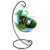 12 -pakowy ornament stojak na wyświetlacz 9 cali wysokość wiszącego stojaka na wisząca globowa roślina powietrzna Plant Terrarium Witch Ball Stand F292C