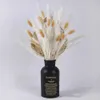 Decorative Objects Figurines Cream Small Pampas Grass Fluffy Room Phragmites Decoration Natural Bunny Tail Grass Dried Flowers Bouquet Boho Home Decor L230724