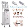 8 Placas de emagrecimento Cryo Cool Body Sculpting Fat Freeze Cryolipolysis EMS Redução de celulite radiofrequência Fat Reduz a pele aperta a máquina de beleza