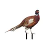 Decorazioni da giardino 594c Pheasants Set di 2 prato statua decorativa scultura da giardino patio in gioco artistico per esterni decorazioni artistiche per esterni 230721