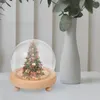 Decorative Flowers Spherical Glass Cover Clear Eternal Flower Dustproof Preserved Wood Trim Micro Landscape Dome Wooden Base