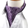 Bow bağları Erkekler Vintage Lüks Paisley Düğün Kravatı Resmi Cravat Ascot Scrunch Self İngiliz tarzı beyefendi polyester kravat No.21-35