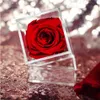 Ny Clear Acrylic Flower Box Mini Single Rose Flowers Box Valentine's Day Flower Gift med täckning för flickvän fru291m