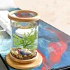 1 PZ Mini Serbatoio di Base in Bambù di Vetro Ruota Decorazione Ciotola per Pesci Bottiglia Ecologica Accessori Acquario289O