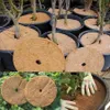 Ondersteunt 30/40/45/60cm Natuurlijke Kokosvezel Boom Mulch Ring Protector Organische Mat voor Binnen Buiten Disc Plant Cover Bloempot