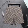 23SS Summer Mens Plus Shorts Дизайнерские роскошные пляжные брюки Водонепроницаемые открытые походки короткие походы Короткие повседневные сетки Бриджи Бридж