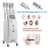 عالية الجودة التخسيس Cryolipolyse RF Microcurrent Slimming 8 Freezz Bandles Cryo EMS RF التبريد EMS التردد الراديوي الدهون تقلل من آلة التجميل