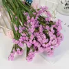 Decoratieve Bloemen Groothandel Hoge Kwaliteit Gedroogd Geconserveerd Vergeet Me Niet Voilet Myosotis Voor Home Decor